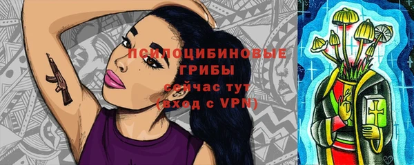 соль ск Сатка